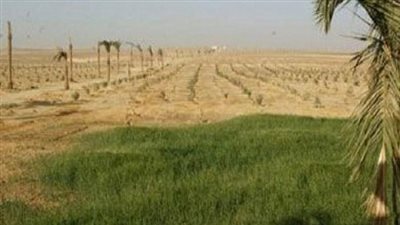 سحب الاراضي المنهوبة تضع رجال الاعمال في مأزق