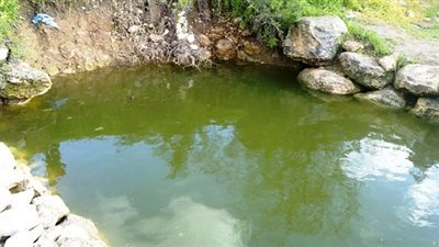 بالفيديو.. سقوط مروع لثلاثة شباب في بركة مياه