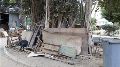 كلية الفنون القبيحة.. أقسام 