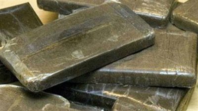 ضبط شقيقين بحوزتهما ٤٢ قطعة حشيش في بورسعيد