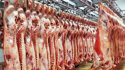 تباين أسعار اللحوم.. والضأن يسجل 130 جنيها في الجيزة