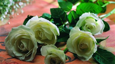 لحظة رومانسية| داعية اسلامي يشكر زوجته على الهواء.. ماذا قال؟