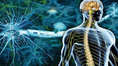 رئيس جمعية التصلب المتعدد يناشد السيسي لتكليف الحكومة لرفع نسبة المشاركة في علاجهم