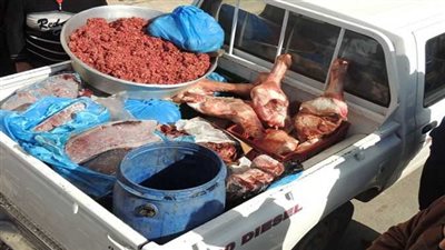 ضبط لحوم ودواجن فاسدة و53 طن ملح غير صالح للاستهلاك بكفر الشيخ