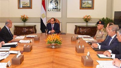 بالفيديو :السيسي يؤكد أهمية الاستمرار في تطوير منظومة تأمين المطارات المصرية