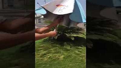 شاهد| أغرب شمسية في العالم: فيها تكييف ومروحة