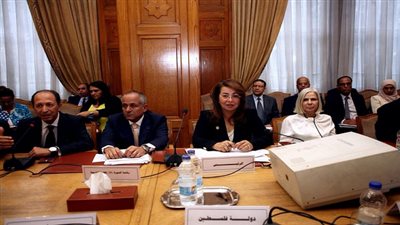 والي: إدانة كافة العمليات الإرهابية في الدول العربية وفي العالم