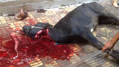 تحذير خطير من 