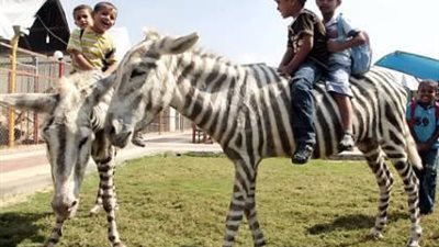 ضياع 123 طفل في حديقة الحيوان بالجيزة.. إقرا التفاصيل