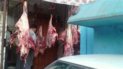 ضبط 6 طن لحوم مذبوحة خارج المجازر الحكومية بالجيزة