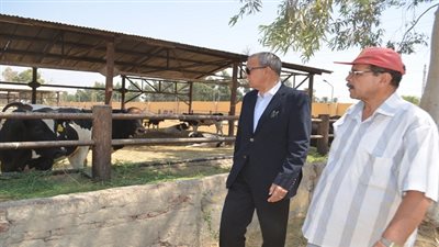 محافظ قنا يتفقد مشروعات الأمن الغذائي بالمراشدة