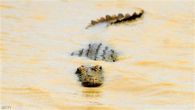 حاول غسل يديه في بركة ماء.. فتعرض لـ