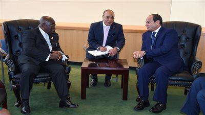 في أول لقاء بين السيسي ورئيس غانا.. العمل على زيادة التبادل التجاري