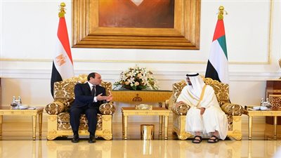 السيسي يعقد جلسة مباجثات مع الشيخ محمد بن زايد