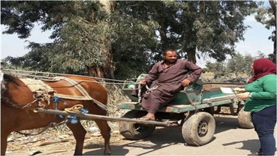 البيئة تفحص 128 مركبة بالمنصورة والبحيرة