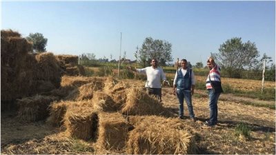 البيئة تتصدى لنوبات تلوث الهواء الحادة بالغربية وكفر الشيخ والشرقية