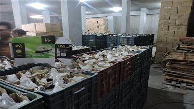 ضبط 4100 قطعة مكواه مقلدة قبل طرحها بالأسواق بالجيزة