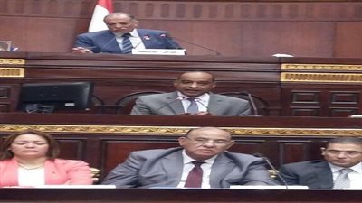 التعليم تشارك فى الحوار الوطنى عن رؤية مجلس النواب والاتحاد العام للجمعيات والمؤسسات الأهلية في التصدي للمشكلة السكانية 