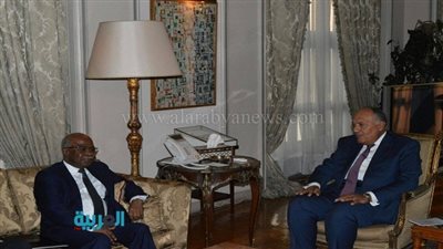 سامح شكري يستقبل وزير خارجية تشاد 