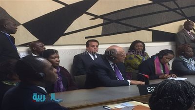 بالصور.. وزيرا الخارجية والتعليم العالي يجتمعان بالمجموعة الأفريقية للتأكيد علي دعم 