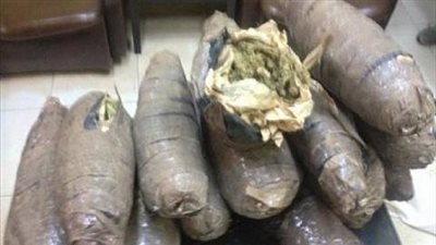 ضبط ترزى بحوزته 28 لفافة بانجو بقنا