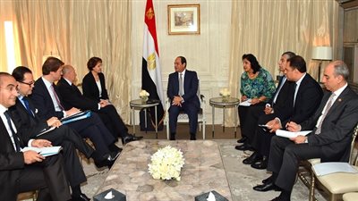 السيسي يستقبل وزير الداخلية الفرنسى