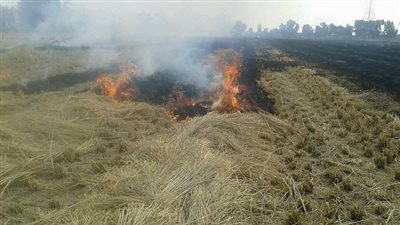 حريق بحظيرة مواشي بأحدى الاراضي الزراعية بالدقهلية