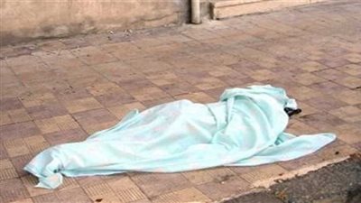 مشاجرة بين شقيقين يؤدي الى موت احدهم بسلاح ابيض بالدقهلية