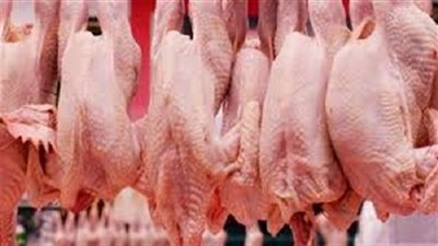 ضبط 300 دجاجة برازيلى 