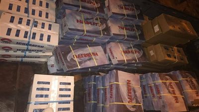 بالصور.. مباحث التموين تضبط ١٧٠٠ كيلو اسماك مجمدة منتهية الصلاحية