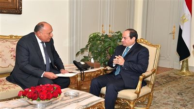 السيسي يتلقي تقريراً من وزير الخارجية بشأن جولته العربية الأخيرة