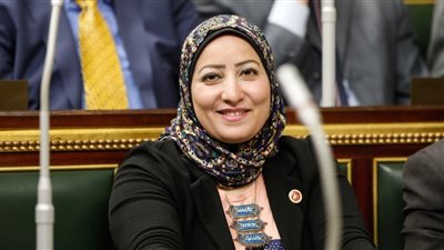 برلمانية: الترشح للرئاسة محظور على من هرب للخارج وقت الشدة