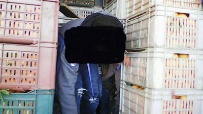 مصلحة الجمارك: جمارك السلوم تضبط محاولة للهجرة غير الشرعية وتوقف تصدير وهمى لبضاعة مرفوضة بجمارك الاسكندرية  