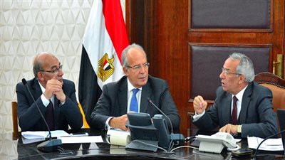 اجتماع وزير التنمية المحلية ووزير الزراعة ومحافظ شمال سيناء لإعداد خطة تنمية شاملة لمنطقة بئر العبد