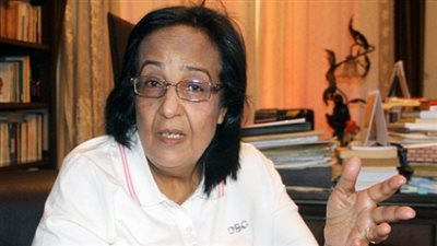 لميس جابر: منى ابو شنب أساءت لكل نساء مصر 