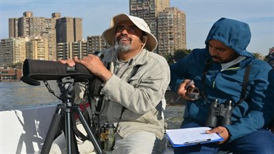 البيئة تعلن الانتهاء من أكبر برنامج لدراسة الطيور المائية المهاجرة 