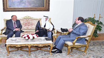 السيسي يستقبل أمين عام منظمة التعاون الإسلامى