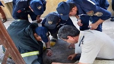 بلاغ سلبي بوجود مواد متفجرة بسيارة يثير الذعر بالخانكة