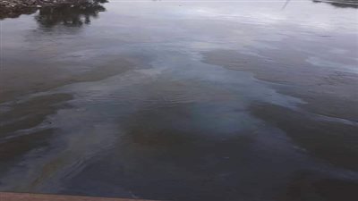 بالصور.. قلق في شبرا الخيمة بعد ظهور بقعة زيت بترعة الإسماعيلية