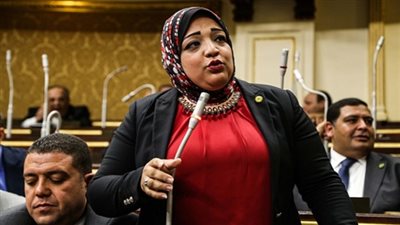 برلمانية: رئاسة مصر للإتحاد الأفريقى عام 2019 هو دليل واضح على عودة مصر للريادة الإفريقية