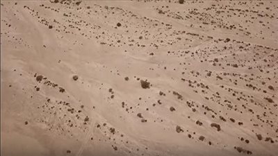 بالفيديو.. حملة أمنية مكبرة إستهدفت منطقتي الظهير الصحراوى بأطفيح والخانكة