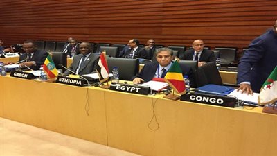 فهمي يشارك في اجتماع لجنة رؤساء الدول الأفريقية المعنية بالمناخ بإثيوبيا