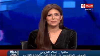 إسلام الغزولي: 3 محاور لمكافحة جرائم الاعتداء على الملكية الفكرية