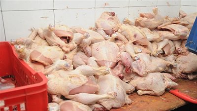 تموين السويس.. تتمكن من ضبط 312 كيلو دواجن منتهية الصلاحية