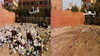 الجيزة تستجيب لاولياء أمور مجمع مدارس الشعراوى حملة نظافة يومياً لرفع المخلفات والقمامة
