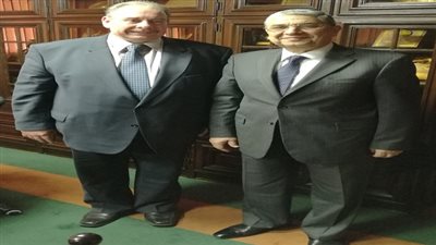 وزير الكهرباء يستقبل سفير رومانيا بالقاهرة 