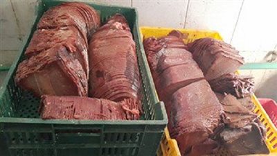 ضبط نصف طن لا نشون فاسد قبل ترويجه بمدينة بنها