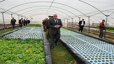 إفتتاح مشروعات زراعية بمنطقة سجون وادى النطرون بمساحة 250 فدان