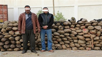 إحباط محاولة تهريب أكثر من إثنين طن لنبات البانجو المخدر