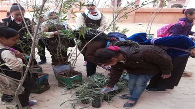 البيئة تنفذ حملات توعية بمدارس حى الاسمرات